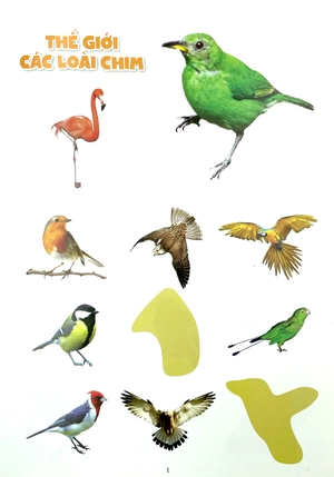 bóc dán thông minh - thế giới các loài chim