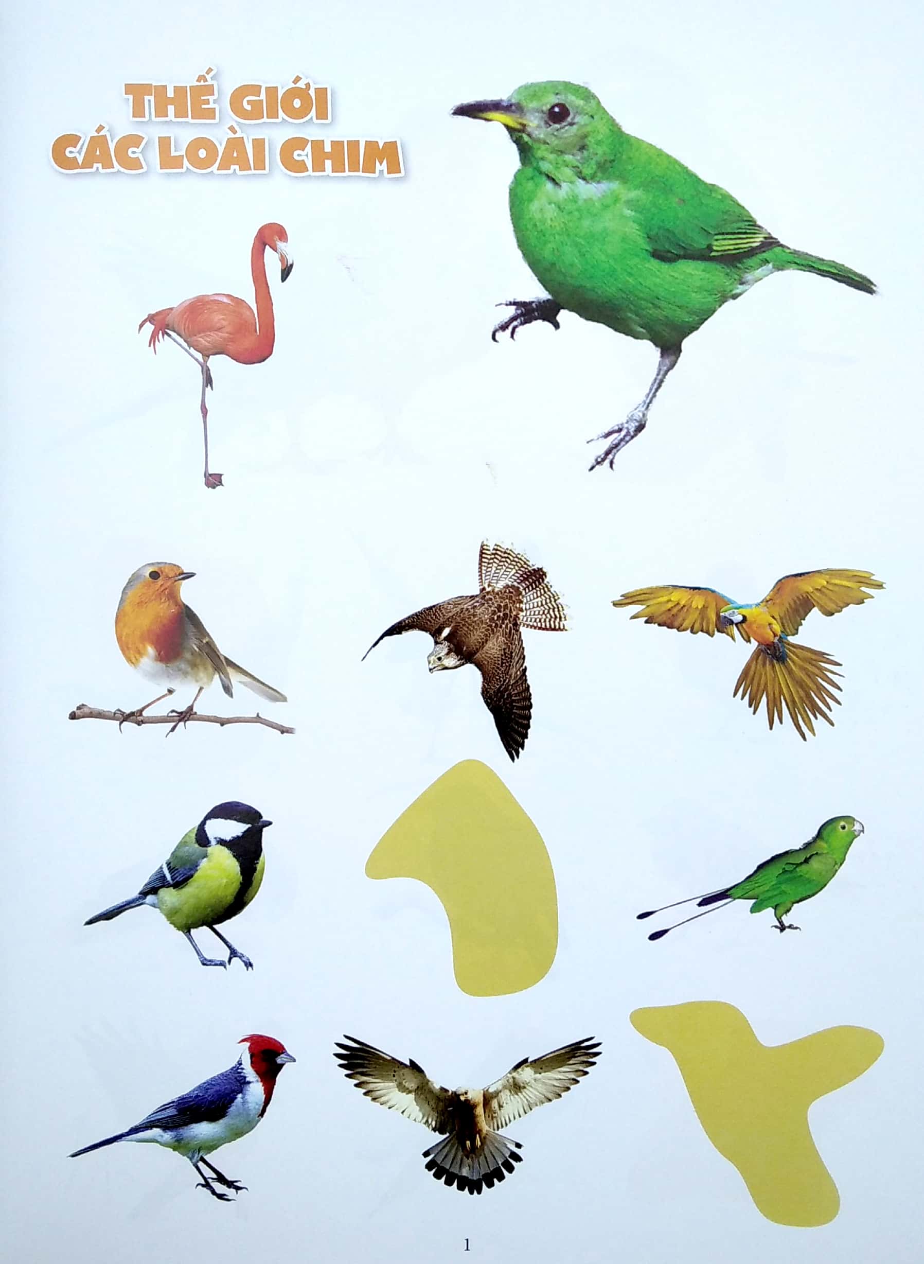bóc dán thông minh - thế giới các loài chim (tái bản 2022)
