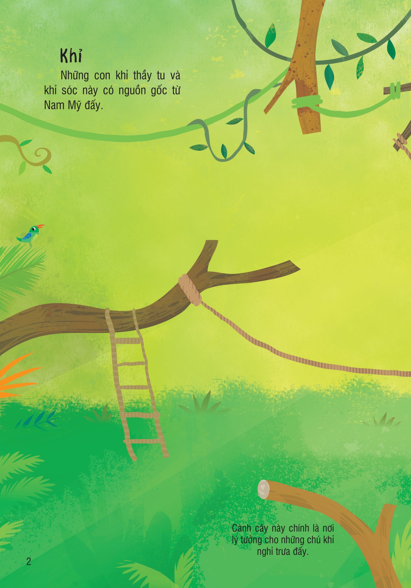 bóc dán thông minh - vườn thú