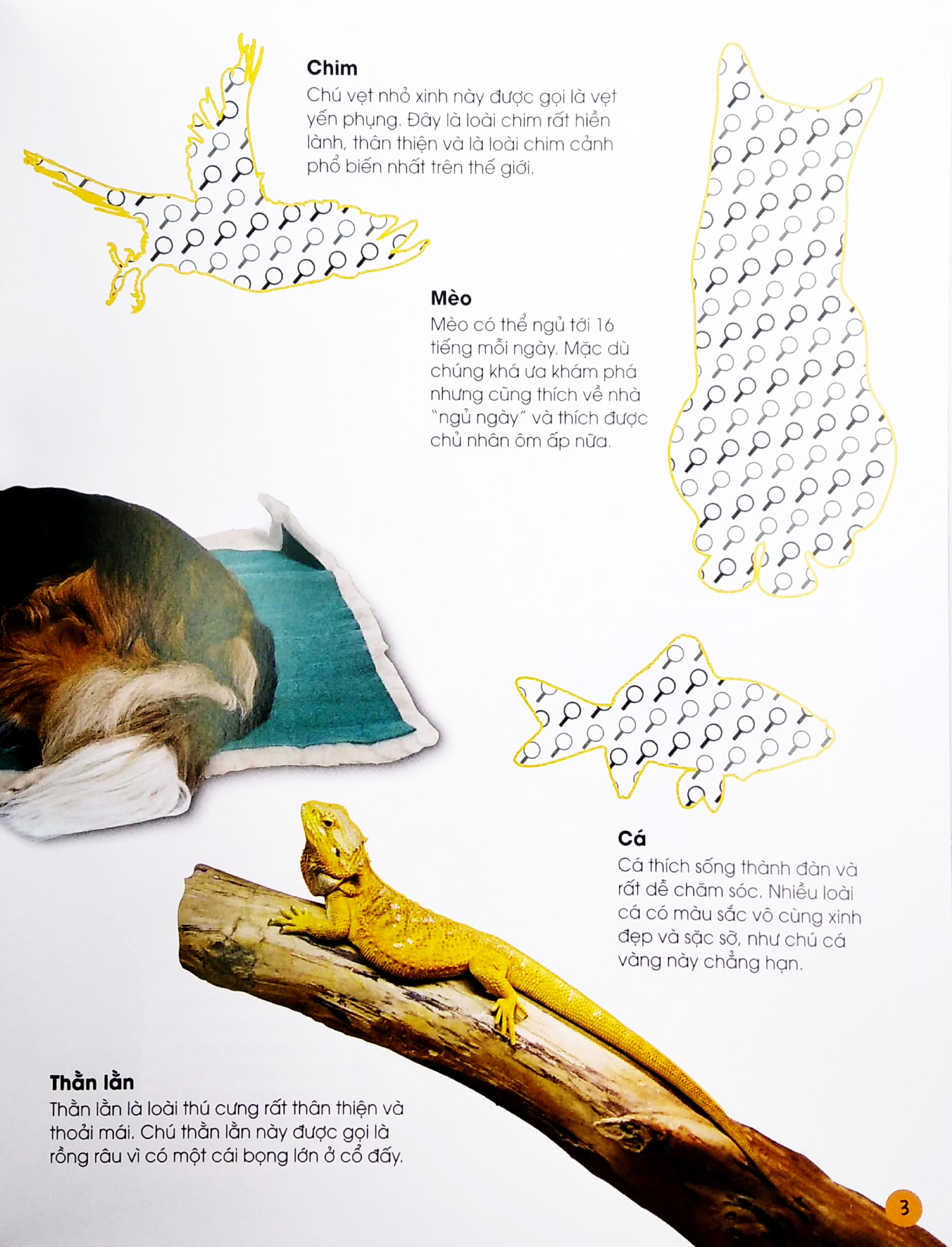 bóc dán tuyệt đỉnh - các loài thú cưng (tái bản)