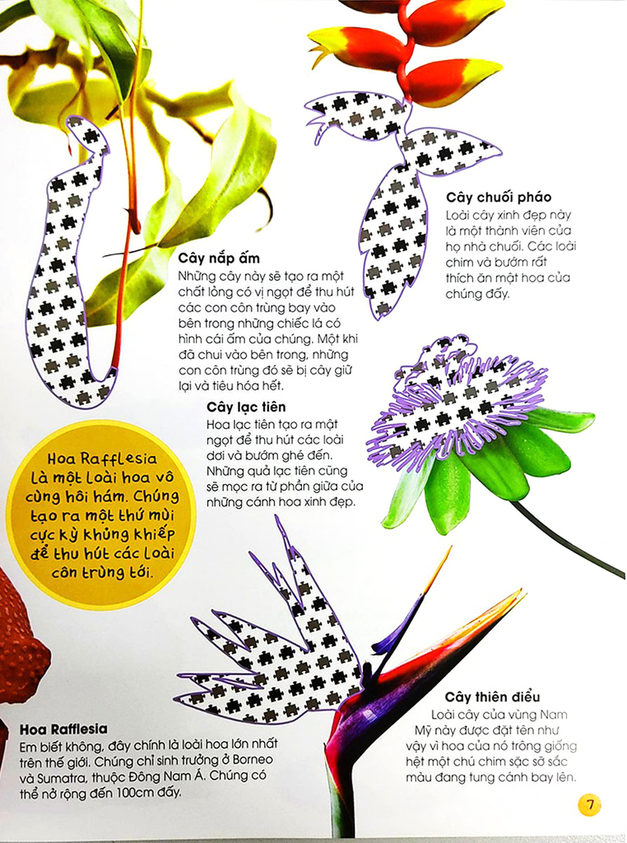 bóc dán tuyệt đỉnh - cuộc sống trong rừng (tái bản)