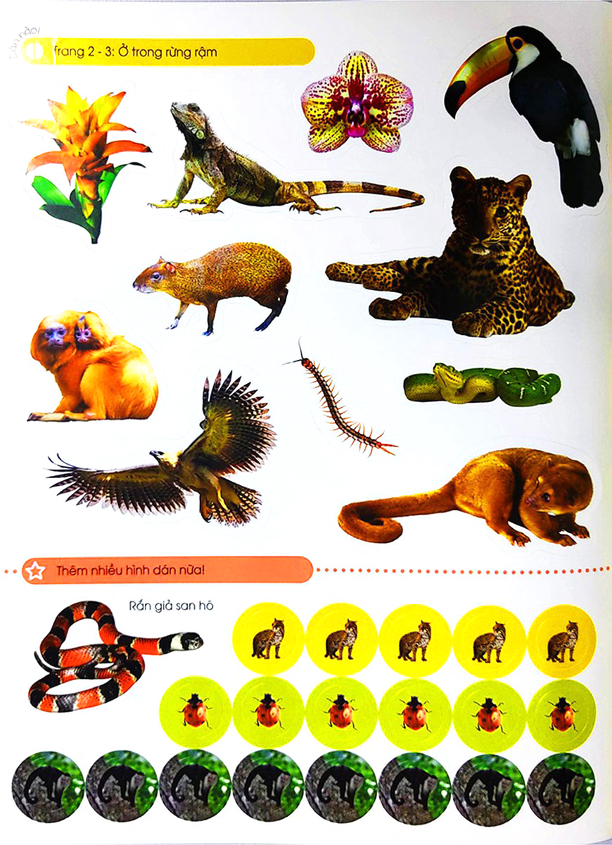 bóc dán tuyệt đỉnh - cuộc sống trong rừng (tái bản)