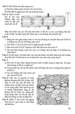 bồi dưỡng học sinh giỏi sinh 11