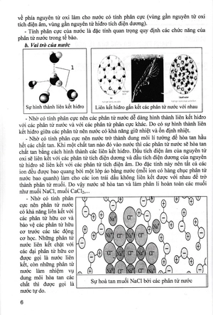 bồi dưỡng học sinh giỏi sinh học 10