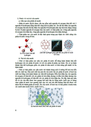 bồi dưỡng học sinh giỏi sinh học 10 (dùng chung cho các bộ sgk hiện hành)