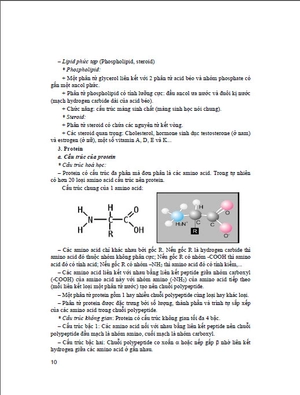 bồi dưỡng học sinh giỏi sinh học 10 (dùng chung cho các bộ sgk hiện hành)