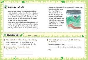 bồi dưỡng kĩ năng đọc hiểu cho học sinh tiểu học - chuyện thú vị về loài vật