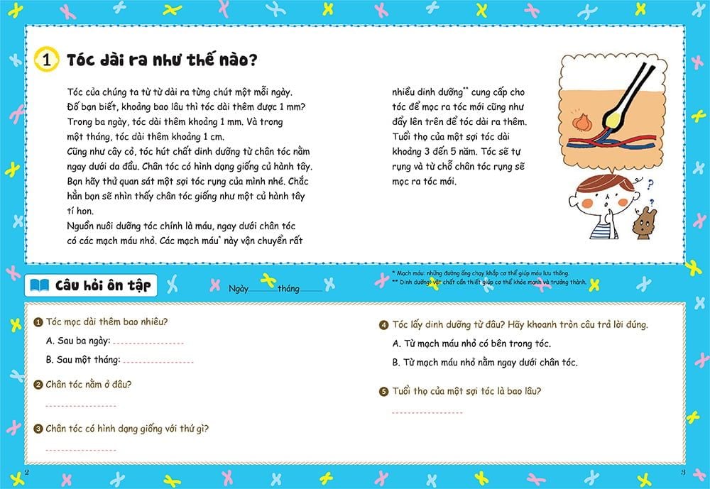 bồi dưỡng kĩ năng đọc hiểu cho học sinh tiểu học - thắc mắc về cơ thể người