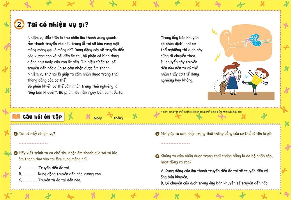 bồi dưỡng kĩ năng đọc hiểu cho học sinh tiểu học - thắc mắc về cơ thể người