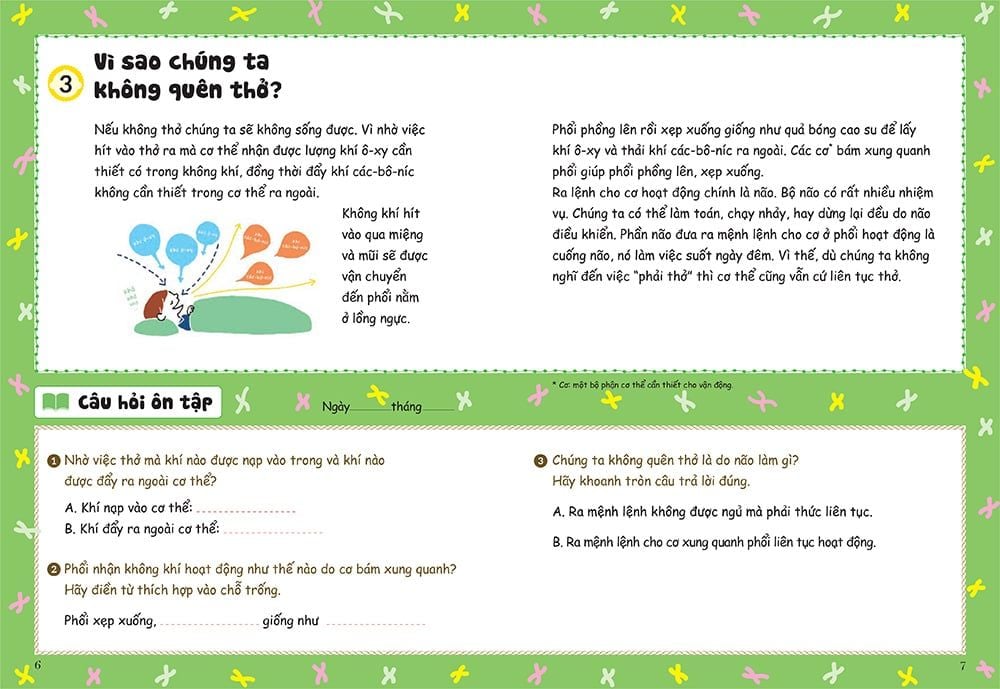 bồi dưỡng kĩ năng đọc hiểu cho học sinh tiểu học - thắc mắc về cơ thể người