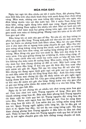 bồi dưỡng ngữ văn 9