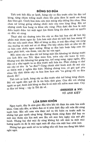 bồi dưỡng ngữ văn 9