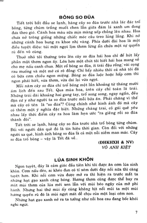 bồi dưỡng ngữ văn 9