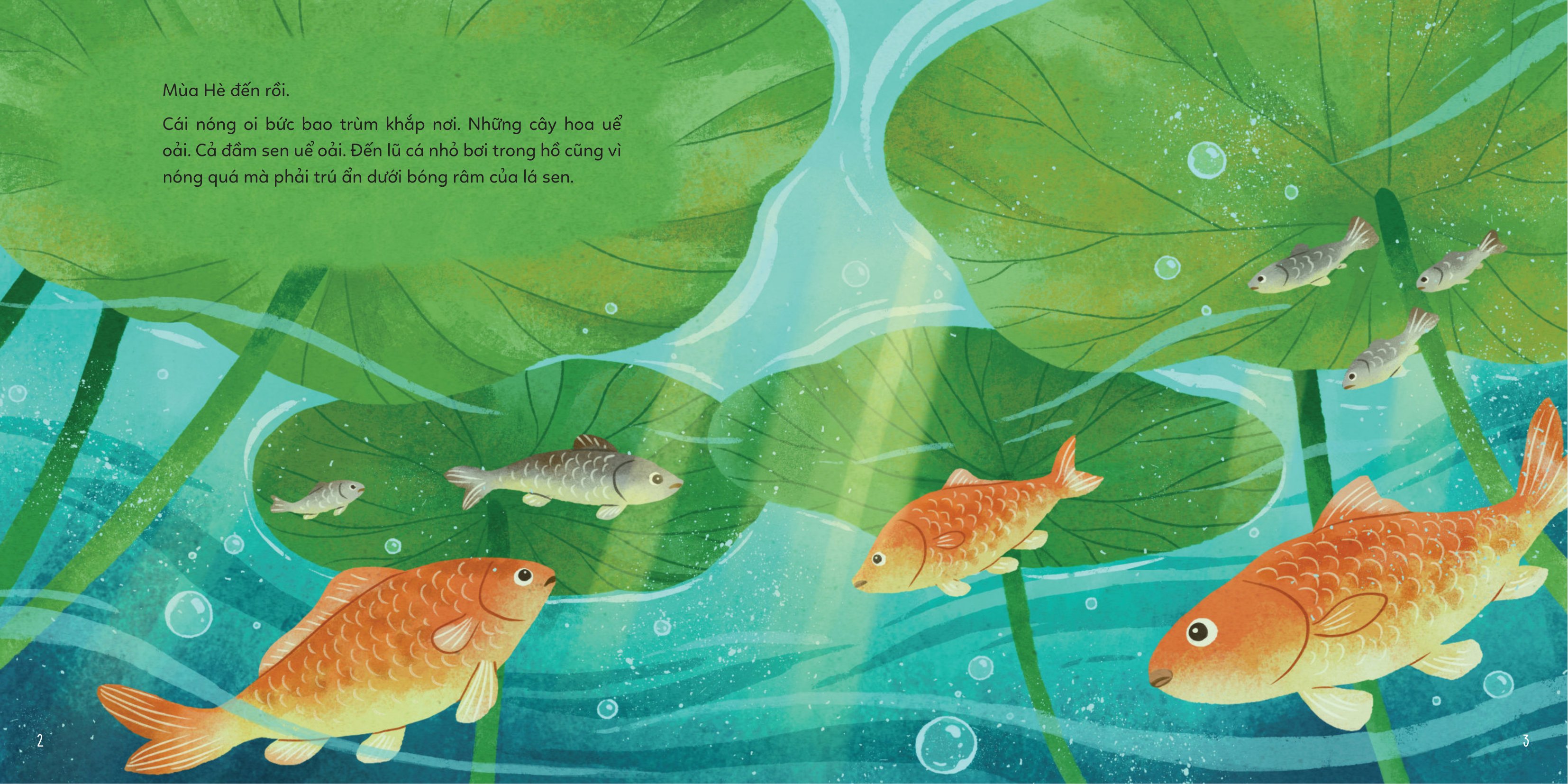 Bốn Mùa Yêu Thương - Cuộc Phiêu Lưu Mùa Hè