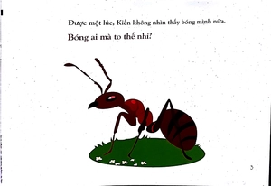 bóng ai to thế nhỉ