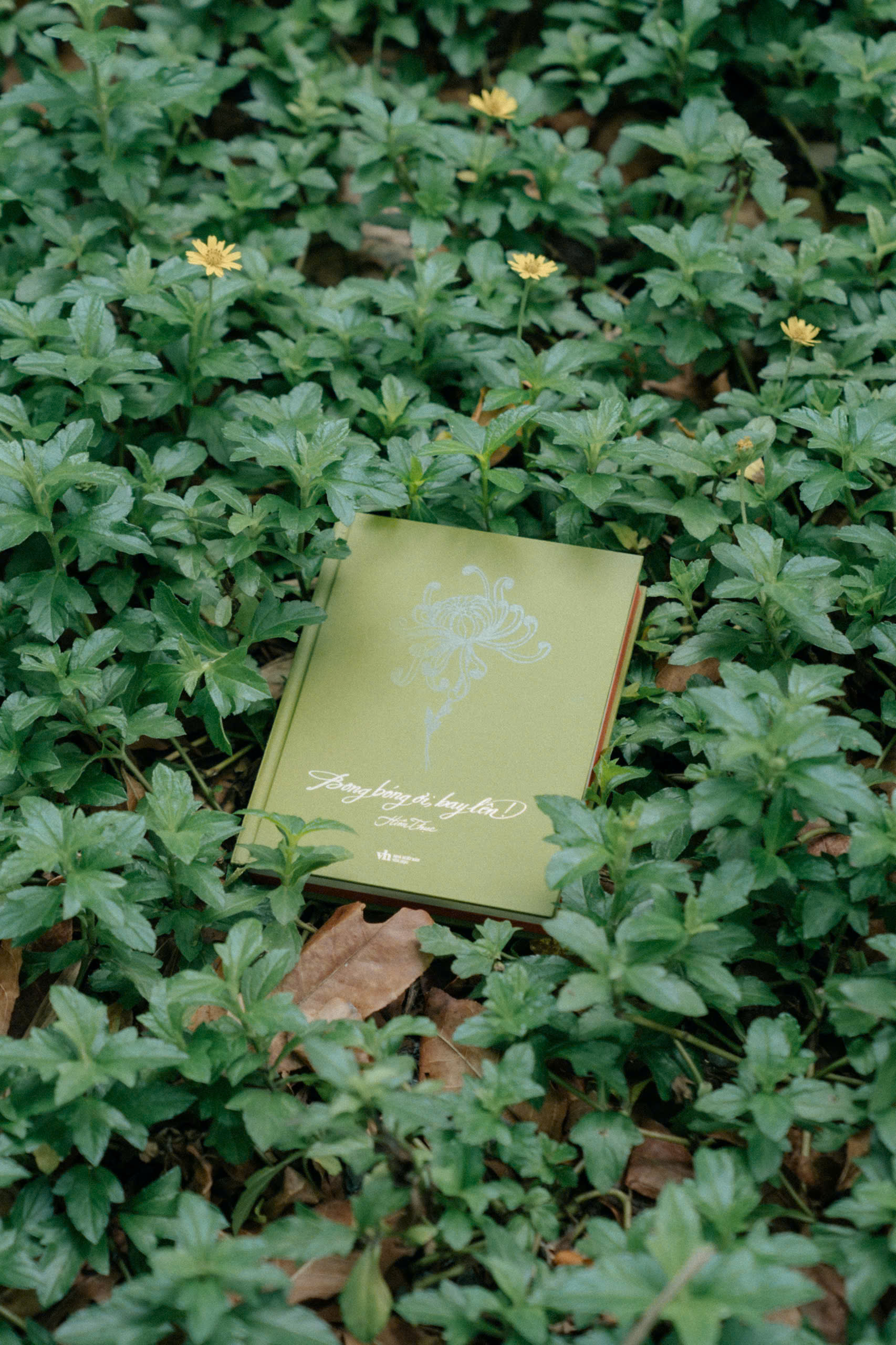 Bong Bong Oi, Bay Len! - Bia Cung