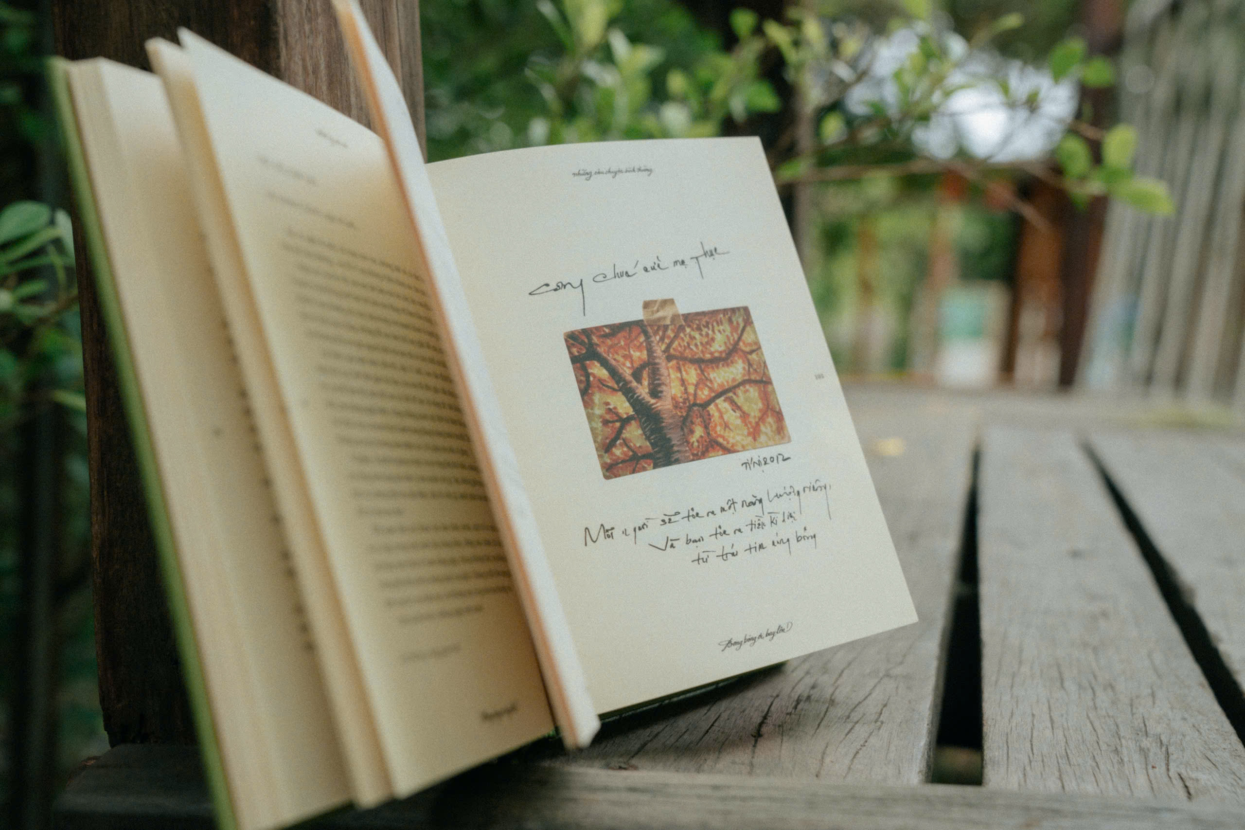 Bong Bong Oi, Bay Len! - Bia Cung