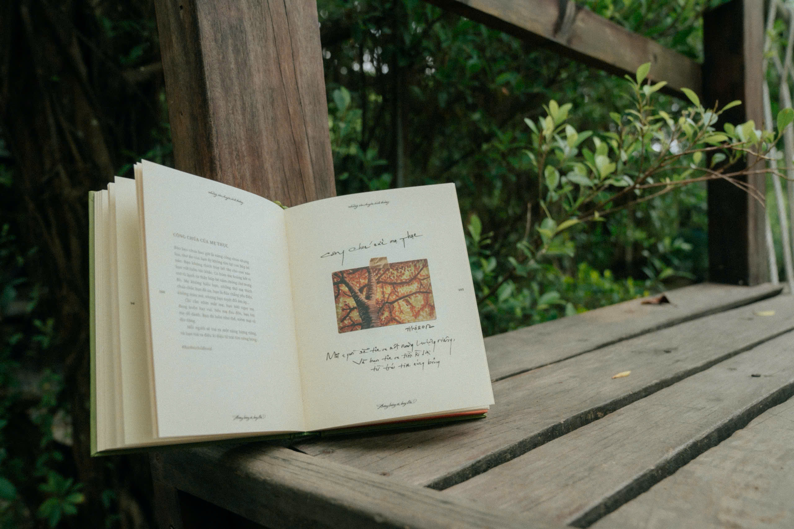 Bong Bong Oi, Bay Len! - Bia Cung