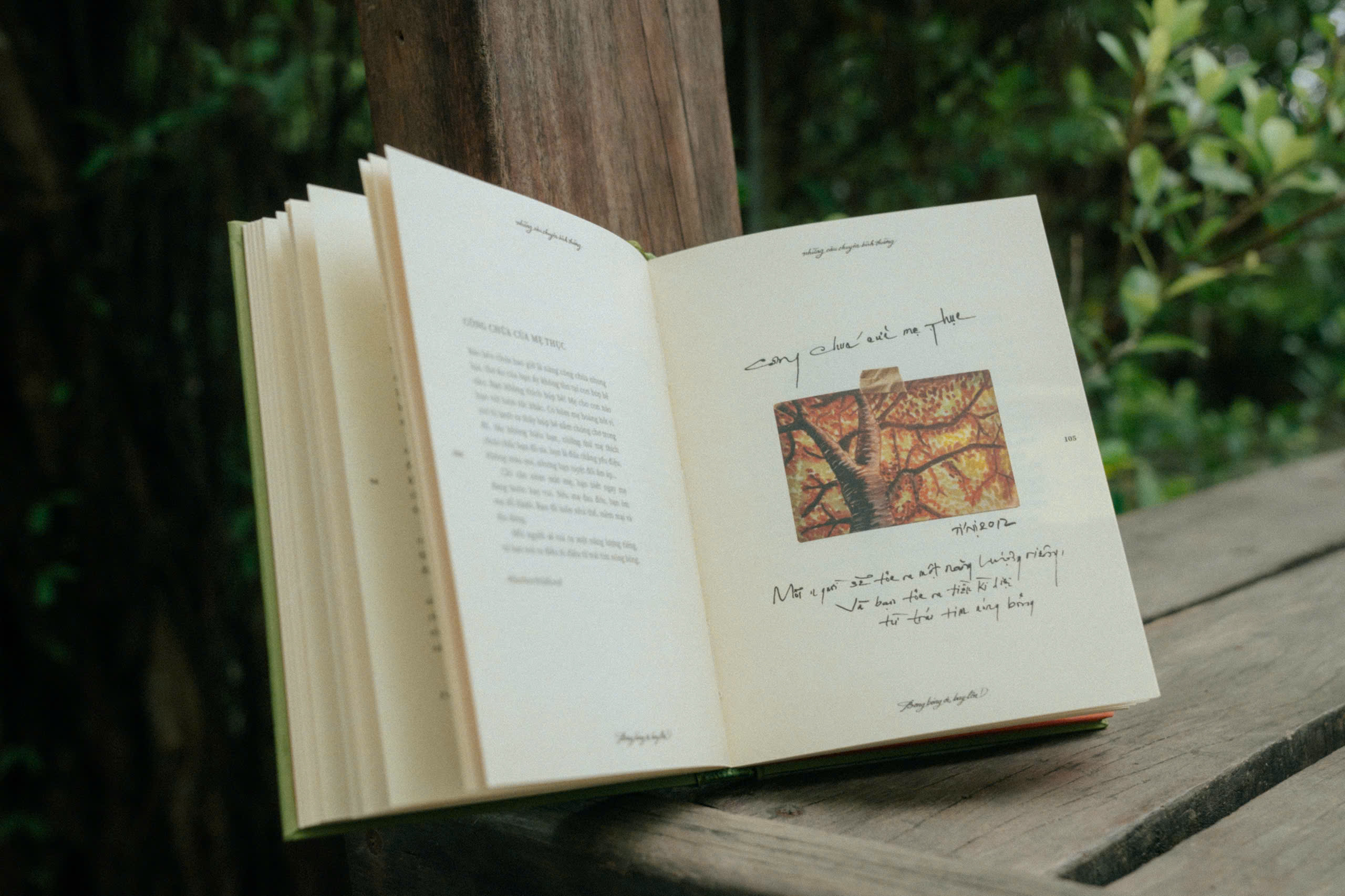 Bong Bong Oi, Bay Len! - Bia Cung