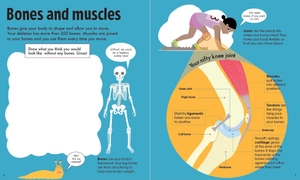 book & jigsaw - fun facts - the human body