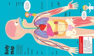 book & jigsaw - fun facts - the human body