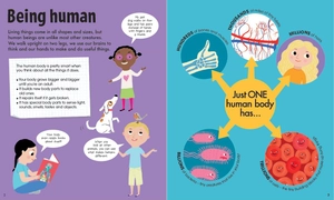 book & jigsaw - fun facts - the human body