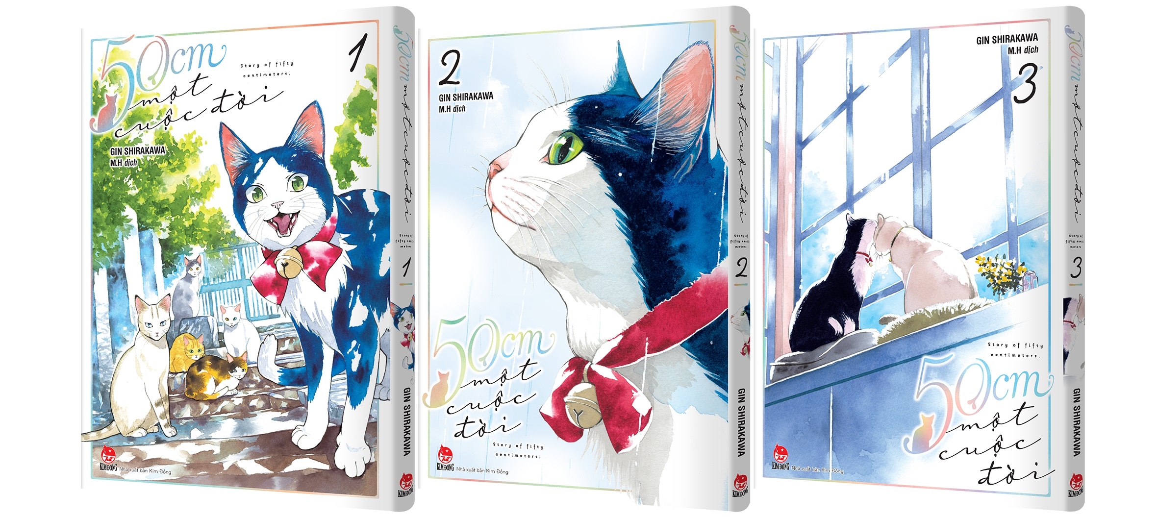 boxset 50cm một cuộc đời (bộ 3 tập)