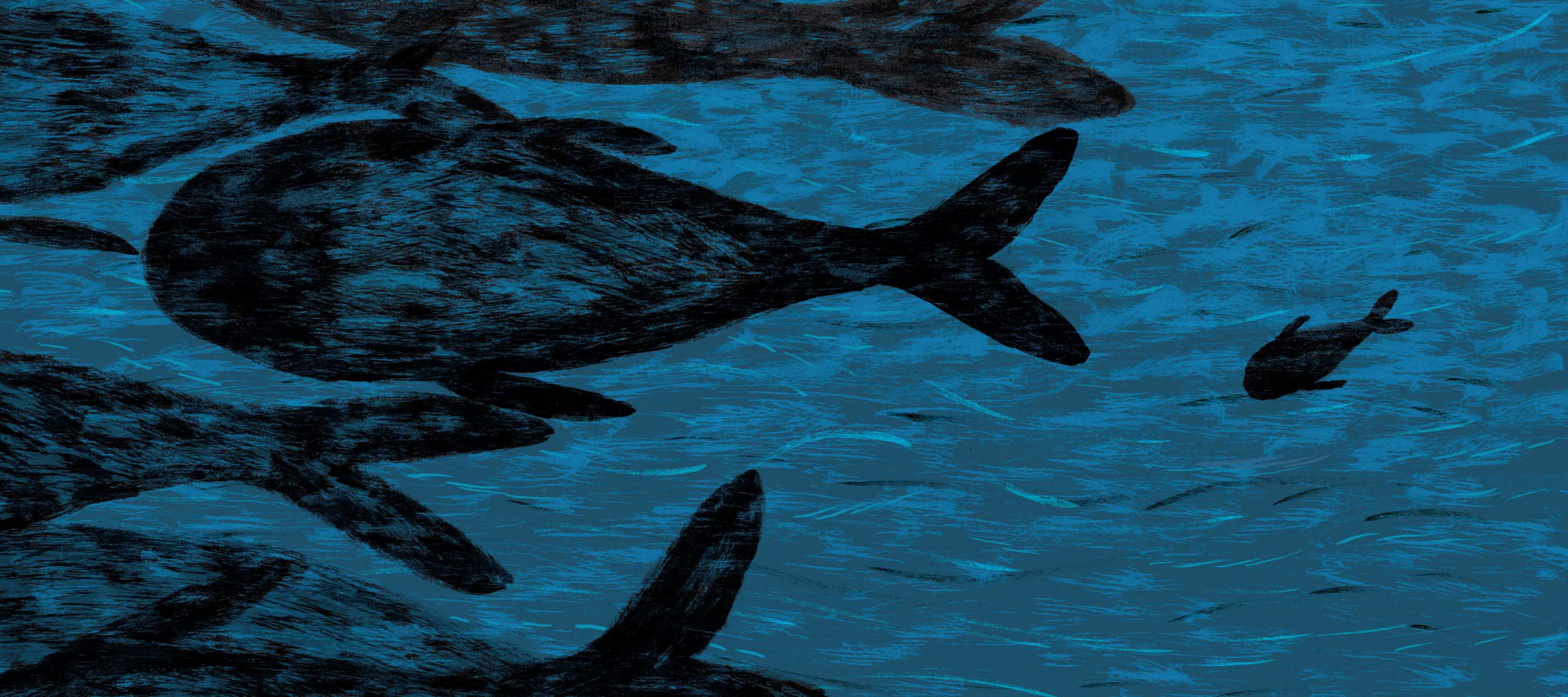 boxset cá voi đêm bão và những câu chuyện khác (bộ 5 cuốn) (tái bản 2025)