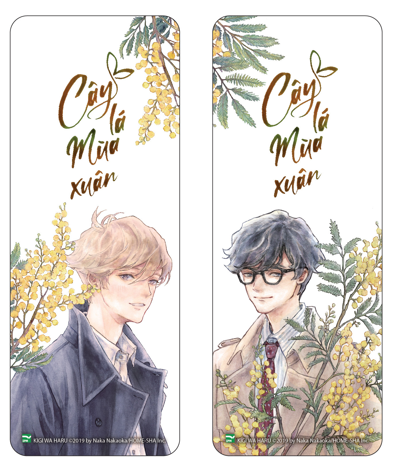 boxset tulip x mimosa - mầm cây xao động + cây lá mùa xuân (bộ 2 cuốn) - bản đặc biệt - tặng kèm 1 hộp boxset + 4 bookmark