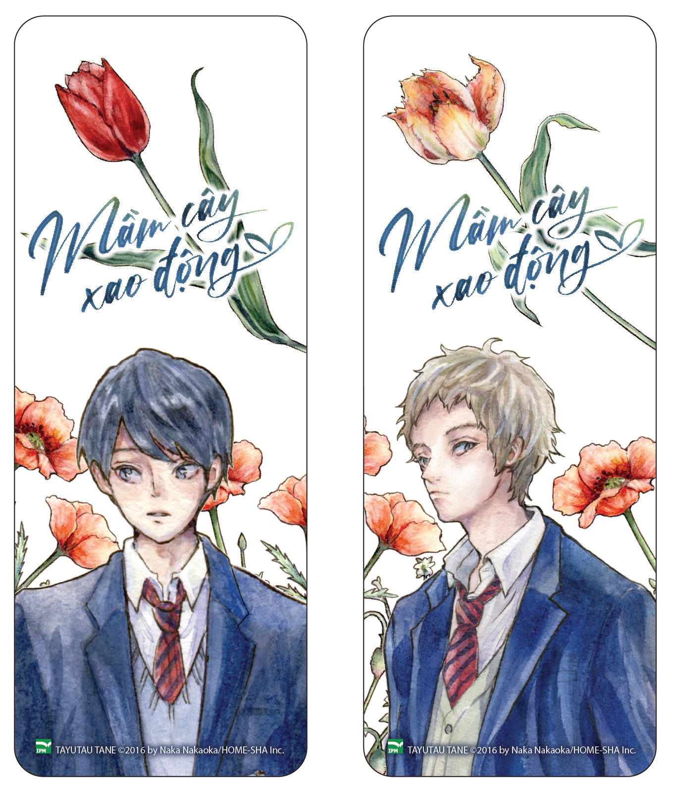 boxset tulip x mimosa - mầm cây xao động + cây lá mùa xuân (bộ 2 cuốn) - bản giới hạn - tặng kèm 1 hộp boxset + 4 bookmark + 2 bookmark case + 2 poster