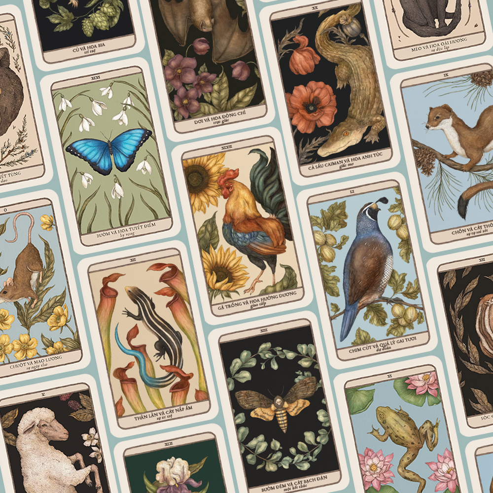 Boxset Woodland Wardens Việt Hóa (Bộ Bài + Sách Hướng Dẫn) - Ảnh 6