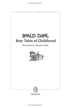 boy: tales of childhood