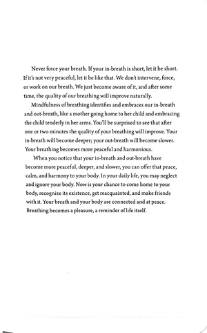 breathe: a thich nhat hanh meditation journal