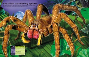 build your own deadly animals sticker book