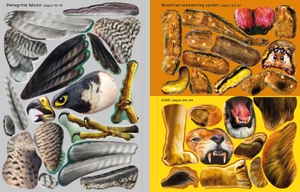 build your own deadly animals sticker book