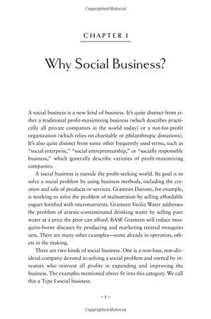 building social business: the new kind of capitalism that serves humanity's most pressing needs