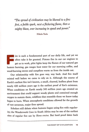 building the perfect fire: with or without matches in any weather