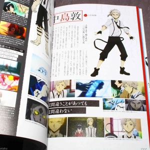 bungou sutoreidoggusu koushiki gaidobu shinka roku