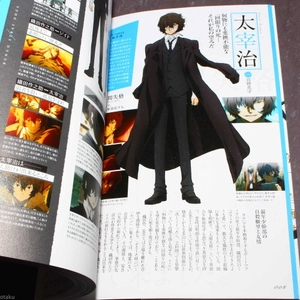 bungou sutoreidoggusu koushiki gaidobu shinka roku