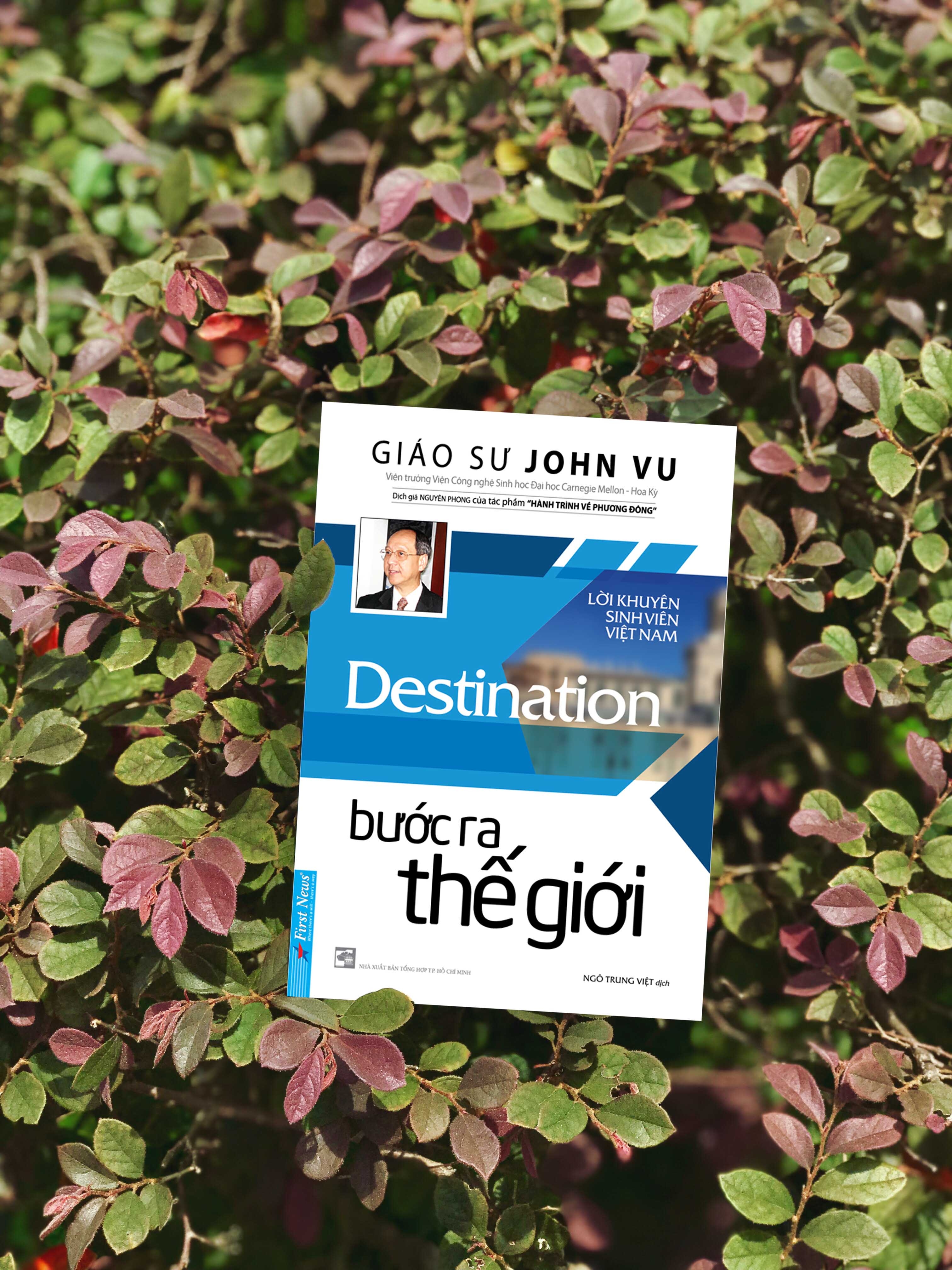 bước ra thế giới