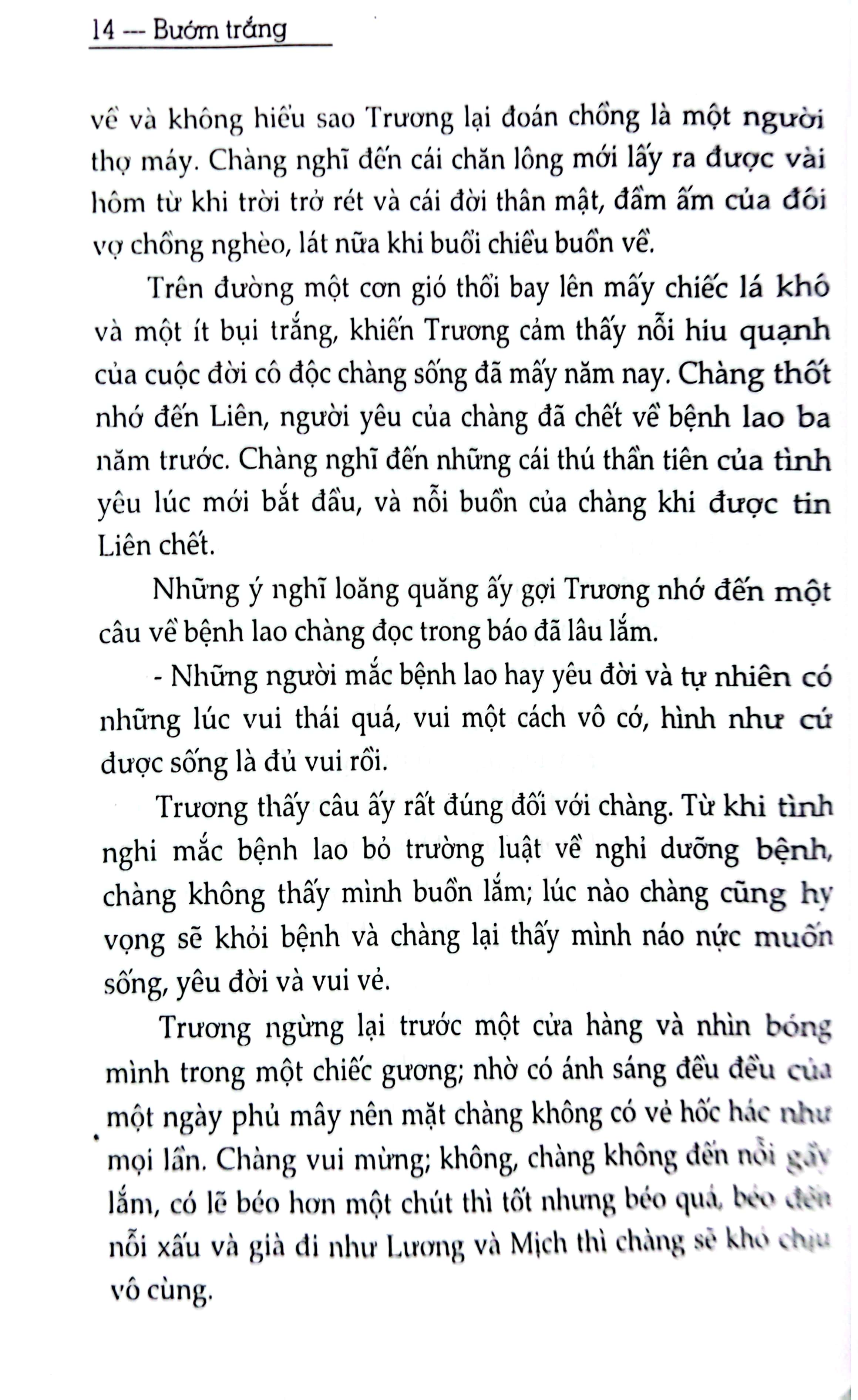 bướm trắng