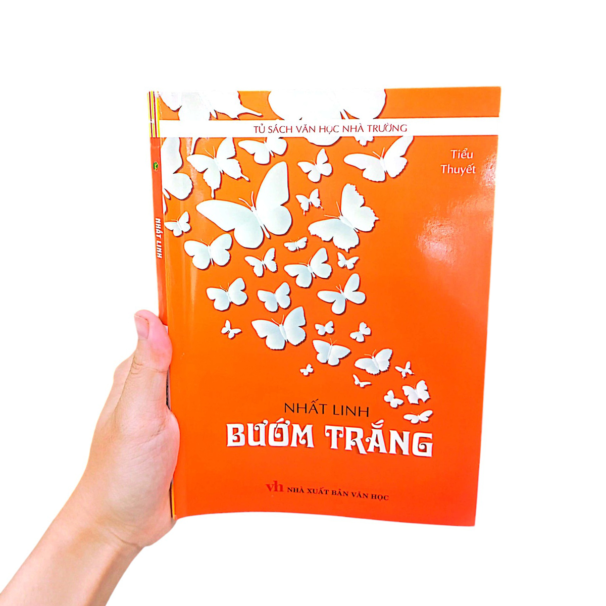 bướm trắng