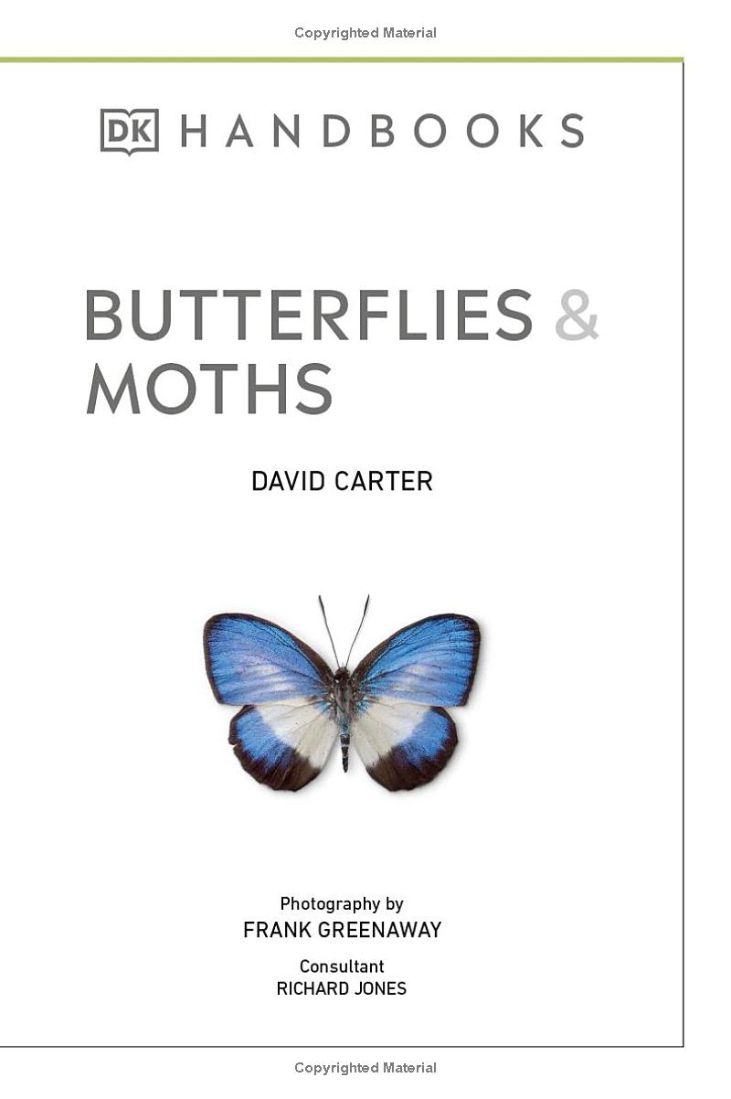 Butterflies And Moths