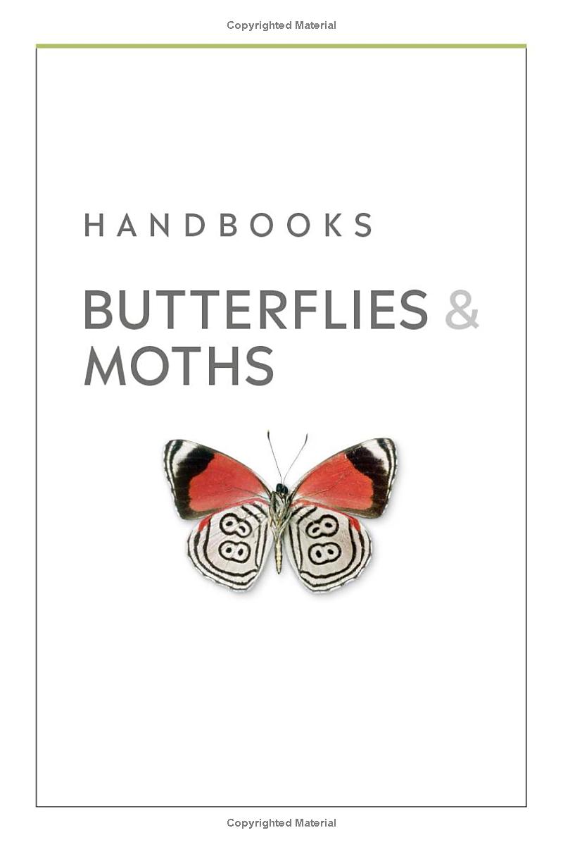 Butterflies And Moths