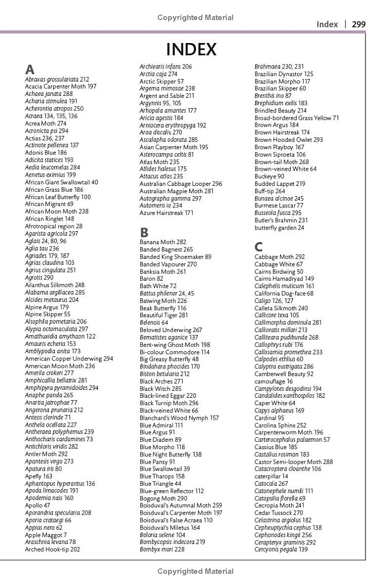 Butterflies And Moths