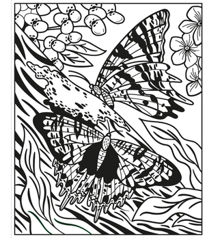 butterflies magic painting book