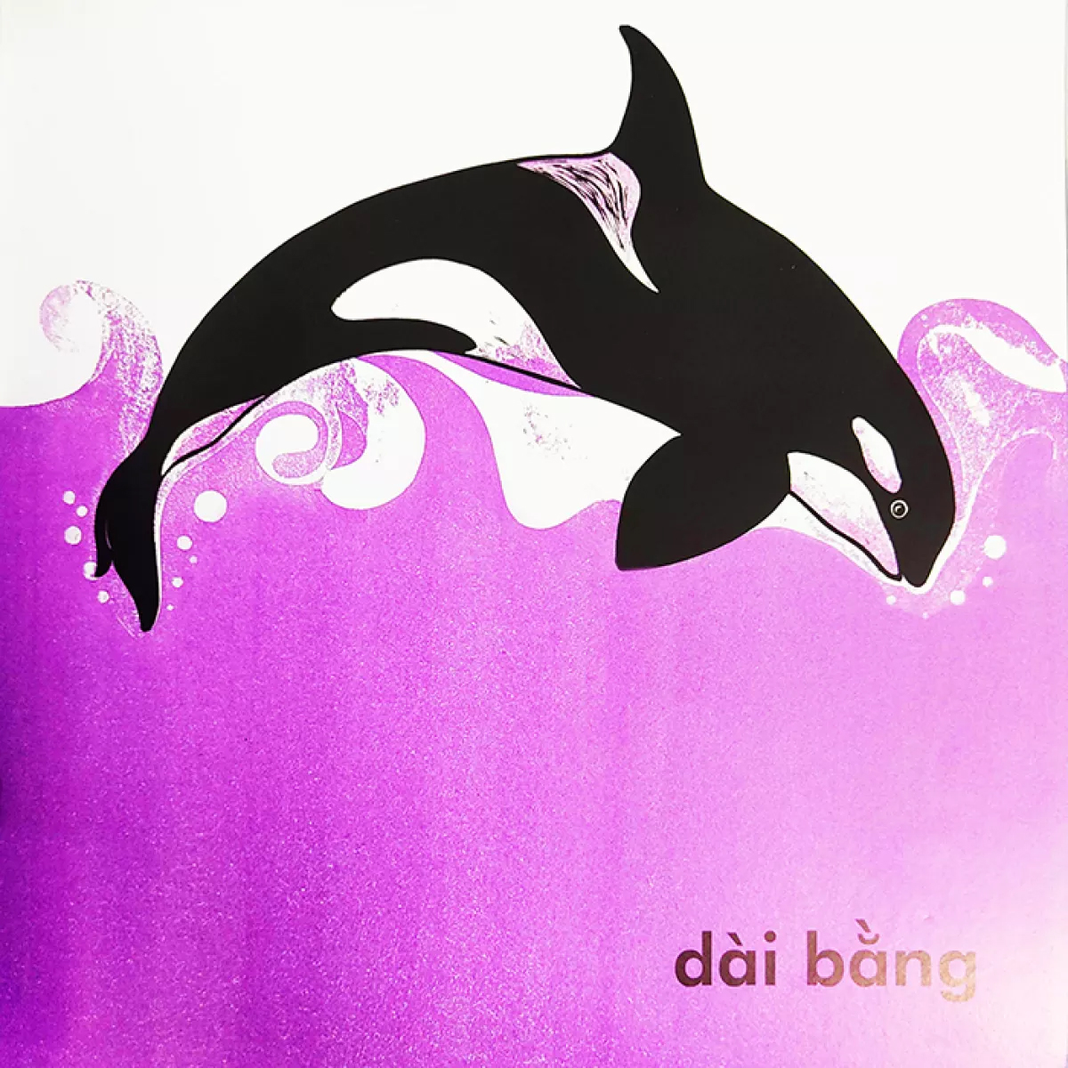 cá voi dài bao nhiêu? (tái bản 2023)