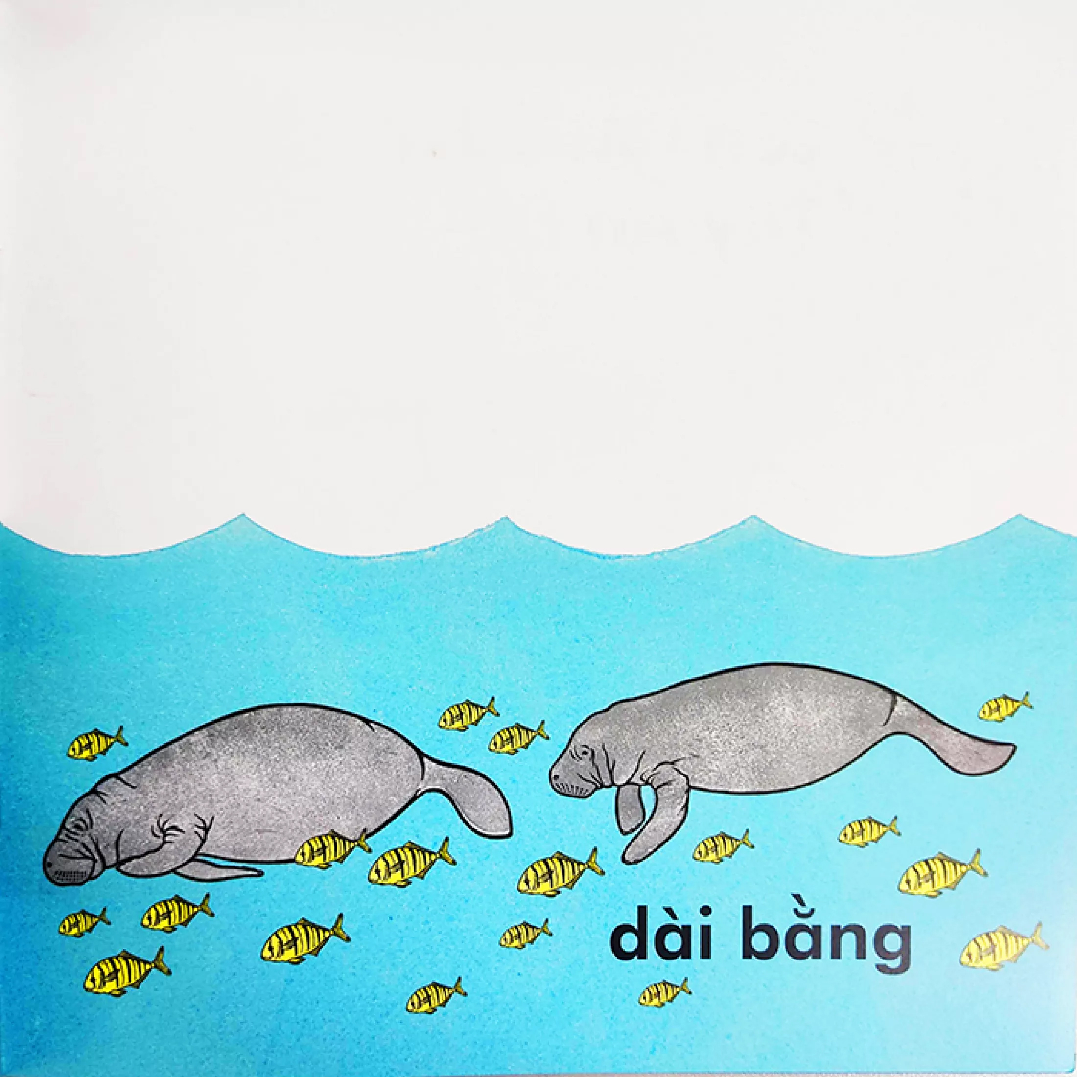 cá voi dài bao nhiêu? (tái bản 2023)