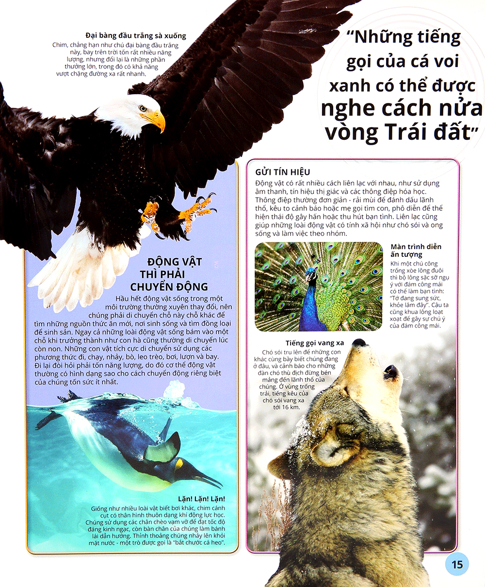 các siêu sao trong giới động vật