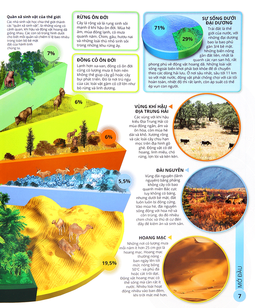 các siêu sao trong giới động vật